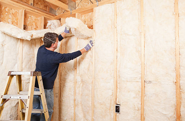 Best Basement Insulation in Eatonville, FL